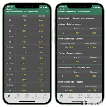 Bet365 handicap asiatico goles