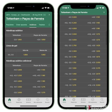 Bet365 handicap asiatico